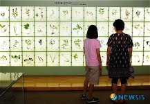 <송기자 여행사진>한눈에 볼 수 있는 약초표본전시장