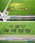 기찻길 들녘에 새겨진 우리쌀 사랑 홍보 문구