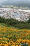 꽃밭에 내려다 본 화천읍 시가지