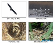멸종위기야생 동·식물 79종 서식 확인