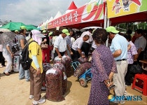 자연애괴산장터 | 괴산고추축제 직거래장터