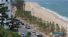 강릉시, 산림생태 복원대회 최우수상 수상