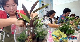 새집증후군 막아 준대요!