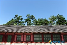 파란 하늘과 소나무가 어울린 태원전 건물