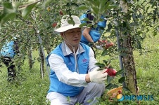 기아차, 충북 제천 재난지역 방문해 농촌봉사활동 전개