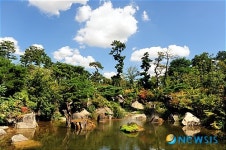 동화 속 풍경 같은 미르연못