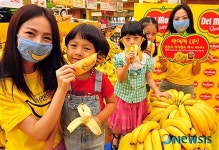 바나나 구매고객에게 향균마스크 증정