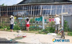 철원 버들골마을, 살기좋은 마을 주민 벽화 한 몫