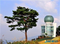 <송기자 여행사진>양백산 소나무와 전망대