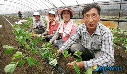 통일딸기 모종 들고 환한 웃음짓는 이종대씨