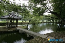 고성 장산숲 아름다운 숲 수상
