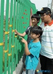 학교 담장에 오색실로 물들었어요