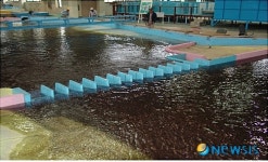 국토부, 보·주요 지천 합류부 수리모형 실험