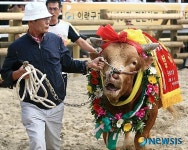 범이 은퇴식 갖는 하영효씨