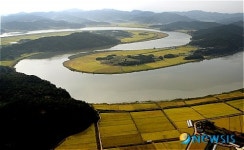 황금들녘과 영산강