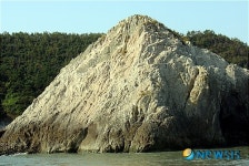 구상 페페라이트 산지 근경