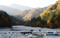 <백기자 여행사진>백담계곡 의 아름다운 비경