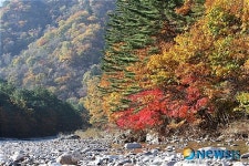 <백기자 여행사진>붉게 물든 백담계곡