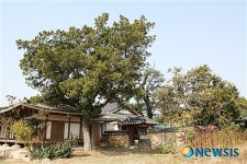 <유기자 여행사진>전통의 아름다움이 남아 있는 사촌마을