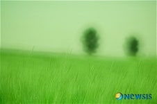 공간 루서 열리는 사진전 시간이 머문 자리