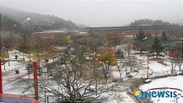 전북도 산림박물관에 내린 첫 눈
