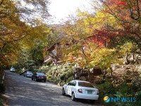 국립운문산자연휴양림