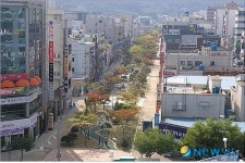 목포 십자형 도시 숲 장미의 거리