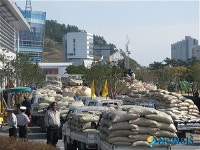 성난 농민들 나락 전남도청 앞으로
