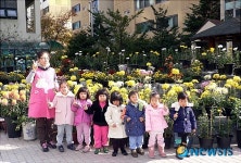 아파트단지에 조성된 국화꽃 동산 화제