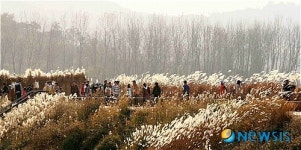 주남저수지 둑길 거닐는 나들이객들