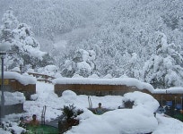 겨울 온천 베스트5, 울진 덕구