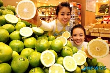 초록빛 지중해 백금 스위티 맛보세요