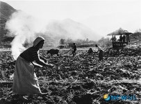 이형록 사진전-산촌의 봄 전남 운봉리 1970