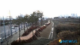 동구 대구선폐선부지 녹색숲 조성