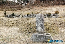 강원도 영월 의호총