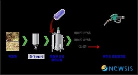 GS칼텍스·카이스트, 바이오혼합알코올 대량생산 균주개발…특허 출원