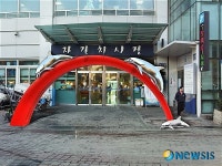 부산 자갈치시장에 돌고래 조형물 생긴다