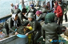 동구 주전항으로 싱싱한 해산물 드시러 오세요