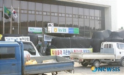 정읍 황토현 농협 입구 꽉메운 벼 가마