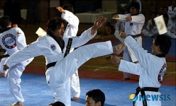 외국인 주민 태권도 시범단의 발차기