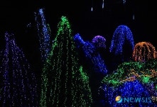 빛이 흐르는 밤