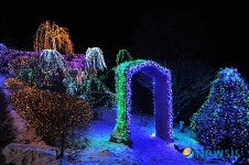 사랑이 깃든 겨울문