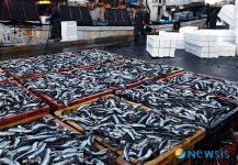 1월의 가볼만한 곳 - 부산 대변항