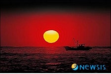 동해소방서, 해맞이 행사장 구조·구급활동 강화