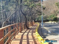 부산 서구 암남공원에 명품 산책로