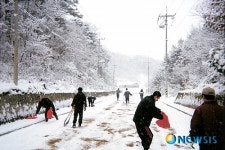 부여군 충화면 의소대 제설 자원봉사 눈길