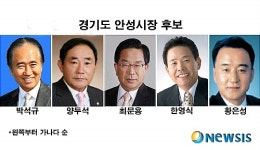 <신년기획>지방선거 누가 뛰나-안성시장