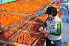 곶감 익는 마을 산청