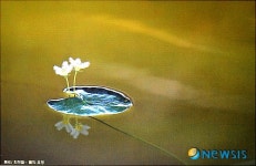 제6회 접사모사진전 - 최정철作 물의 요정