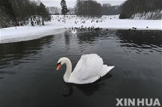 난 교통지옥은 몰라